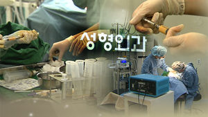 "성형수술 의료분쟁 급증&hellip;지난해 분쟁상담 731건"