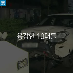 [카드뉴스] 용감한 녀석들