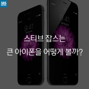 [카드 뉴스] 스티브 잡스가 '커진 아이폰' 봤다면?
