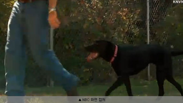 월드리