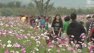 완연한 가을 날씨&hellip;전국 곳곳 가을맞이 축제