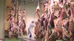 횡성한우 유통 전 과정 HACCP 인증 업무협약