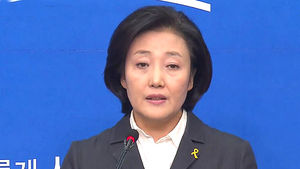박영선 "이학수법안, 이재용 남매에 적용해도 무리 없어"