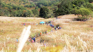 [핫포토] 가을 마중하는 명성산 억새
