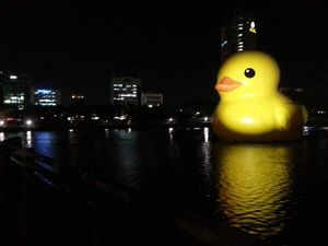 '러버덕' 인기에 한정판 인형도 '불티'