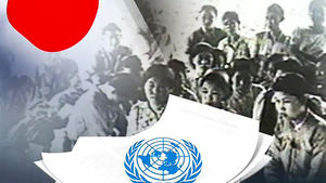 日 정부, 'UN 위안부 보고서' 일부 철회 요구