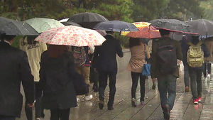 내일까지 전국 가을비&hellip;충청&middot;남부 120mm 호우