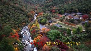 [생생영상] 지리산 단풍 '절정'&hellip;한 폭의 명화 같아