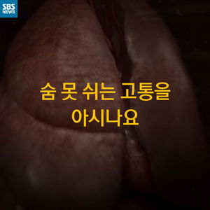 [카드 뉴스] 숨 못 쉬는 고통