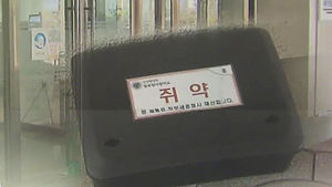 쥐 들끓는 세종청사&hellip;끈끈이로 '쥐잡기 전쟁'