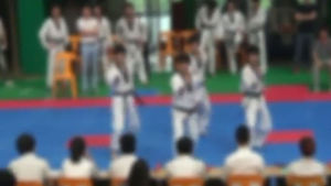 [영상] 태권도 또 승부조작&hellip;협회 간부 아들 봐주기
