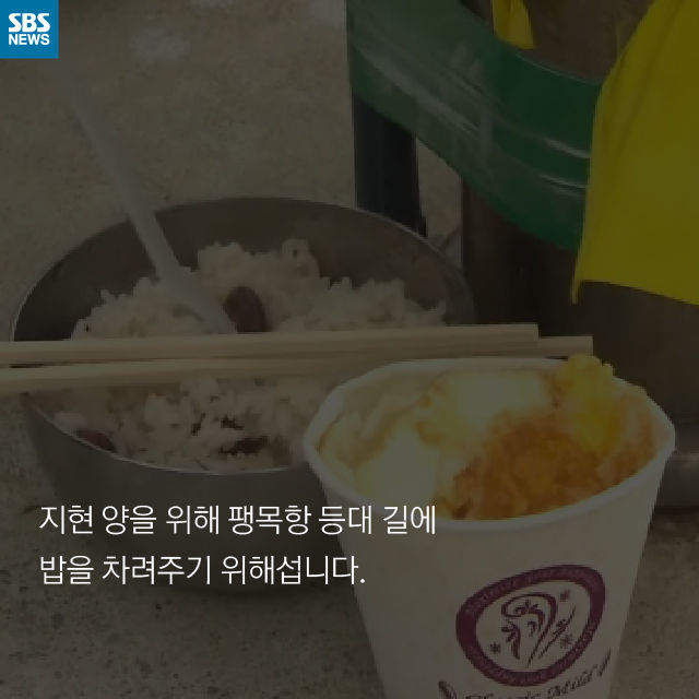 카드뉴스_세월호 황