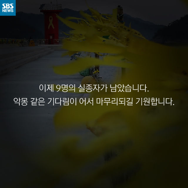 카드뉴스_세월호 황