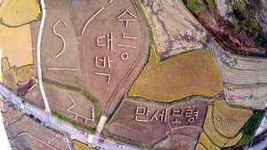 [핫포토] 벼 줄가리로 응원하는 '수능 대박'