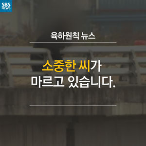 [육하원칙 뉴스] 소중한 씨가 마르고 있는 연어&hellip;원인은?