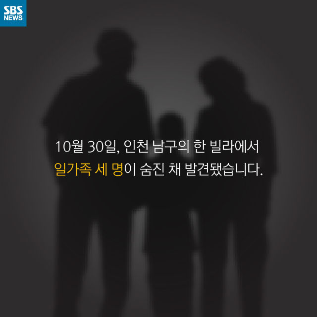 카드뉴스_세가족