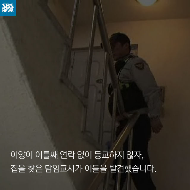 카드뉴스_세가족
