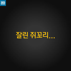 [카드 뉴스] '수습 아르바이트생'들의 비애