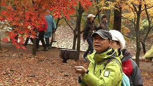 한 폭의 동양화에 '황홀'&hellip;내장산 오색빛 향연