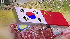 "한국 세계 3위 FTA 대국, 日 기업에 부분적 영향"