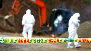 경주 토종닭 AI 고병원성으로 확진