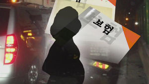 교통사고 위장해 아내 살인 혐의로 남편 구속