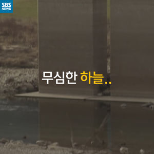 [카드 뉴스] 가뭄에 빙어 축제마저 무산&hellip;'무심한 하늘'