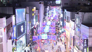 [부산] 아름다운 빛의 향연&hellip;크리스마스 트리 축제
