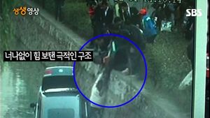 [생생영상] 강물에 빠진 운전자, 너나없이 힘 보태 극적 구조