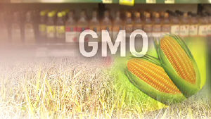경실련 "한국 GMO 표시제도 세계 추세와 동떨어져"