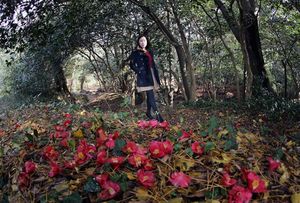 [포토] 강진 백운동 계곡 동백꽃 장관