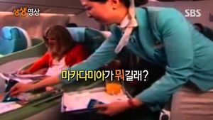 [생생영상] '비행기도 돌린' 마카다미아 너트, 홍보 영상에서 포착