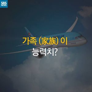 [카드 뉴스] 부사장 자리 내놓은 조현아 씨, 가계도 살펴보니&hellip;