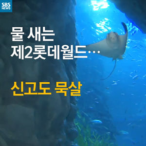 [카드 뉴스] 제2롯데월드 누수&hellip;신고 받고도 묵살