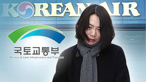 국토부 '땅콩회항 사건 조사' 감사 결과 29일 발표