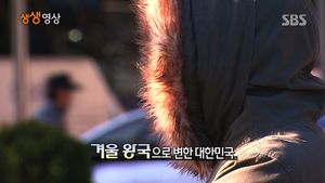 [생생영상] 동장군의 기세에 '겨울 왕국' 된 대한민국