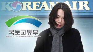 '땅콩 회항' 조사, 기본을 깡그리 무시한 국토부