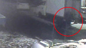 여행가방 속 시신 신원 확인&hellip;용의자 CCTV 영상 확보