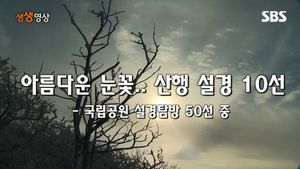 [생생영상] 아름다운 눈꽃&hellip;우리나라 산행 설경 10선