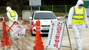 [현장 포토] 경북 영천서도 구제역 발생