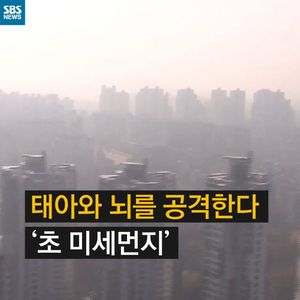 [카드 뉴스] 초미세먼지, 태아와 뇌를 공격한다