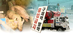 구제역 확산, 제주올레에 '불똥'&hellip;6개 코스 출입통제