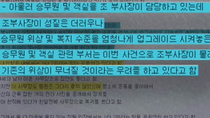 [취재파일 플러스] 대한항공, 1타 2피?&hellip;인터넷에 '수상한 찌라시'