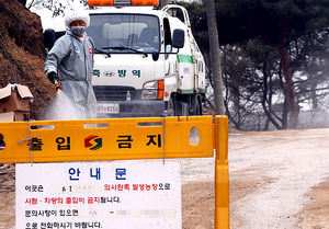 [현장 포토] 안성서 AI 의심신고&hellip;오리 7천여 마리 매몰