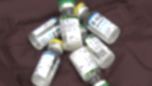 [단독] "국산 수두 백신, 외국산보다 효과 떨어진다"