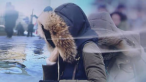 1월 추위 어디갔지? '추위 절정' 2주 빨라졌다
