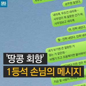 [카드뉴스] '땅콩 회항' 1등석 승객 "저 여자 하나 때문에&hellip;"