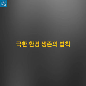 [카드뉴스] "우리는 이렇게 버텨내요"