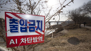[현장 포토] 서울 중랑천 야생조류 분변에서 AI바이러스 나와