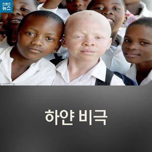 [카드뉴스] 하얀 비극
